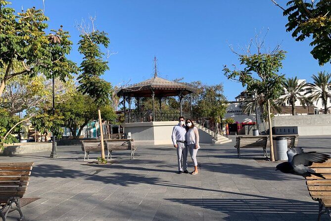 Half-Day Guided Tour in San José del Cabo Art and Beer Tasting - Why This Tour Might Be a Great Fit