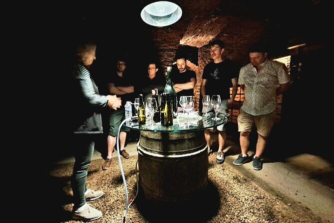 Half-day guided tour on the Burgundy wine Route in a classic car - An In-Depth Look at the Tour Experience