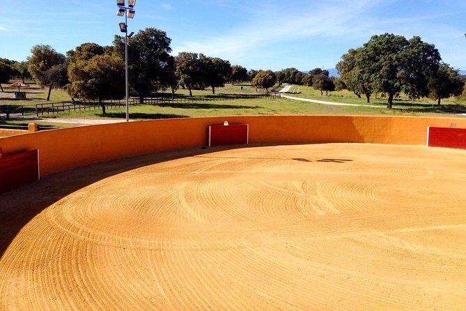 Half-Day Guided Tour to a bull farm in Madrid - What to Expect from the Tour