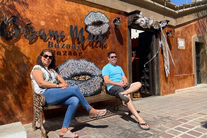 Half-Day: Guided Tour to Todos Santos Magical Town - Who Will Love This Tour?