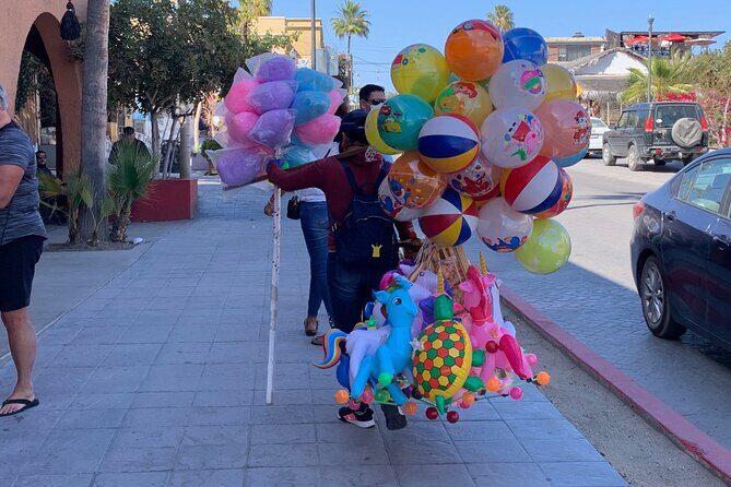 Half-Day: Guided Tour to Todos Santos Magical Town - Final Thoughts