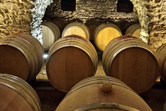 Half-Day Guided Tour with Tasting of Beaujolais Wines - Exploring the Beaujolais Tour in Detail