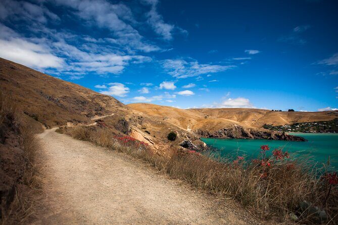 Half Day Guided Walking Tour on Banks Peninsula - Why This Tour Is Worth It