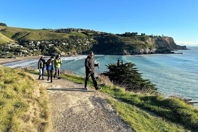 Half Day Guided Walking Tour on Banks Peninsula - Authentic Experiences and Practical Tips