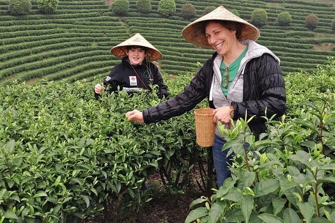 Half-Day Guilin City Tour: Reed Flute Cave and Elephant hill and Tea Plantation - Exploring Guilin in Half a Day: Reed Flute Cave, Elephant Hill, and a Tea Plantation