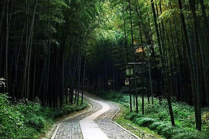 Half-Day Hangzhou Nature Explore with Green Tea Village and Yunxi Bamboo Forest - Why This Tour Offers Good Value