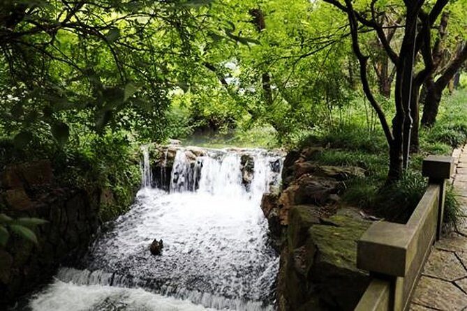 Half-Day Hangzhou Tianzhu Buddhist Mountain Hiking Tour with Green Tea Village - Final Thoughts