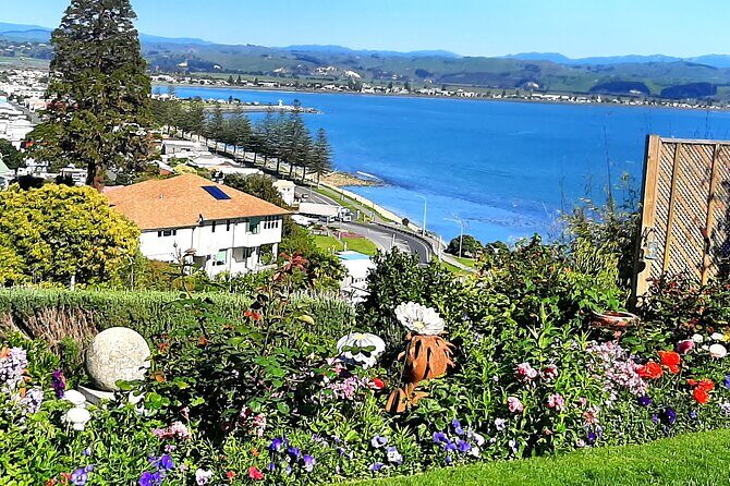 Half Day-Hawke's Bay + Premium Winery Tour - The Sum Up: Who Should Take This Tour?