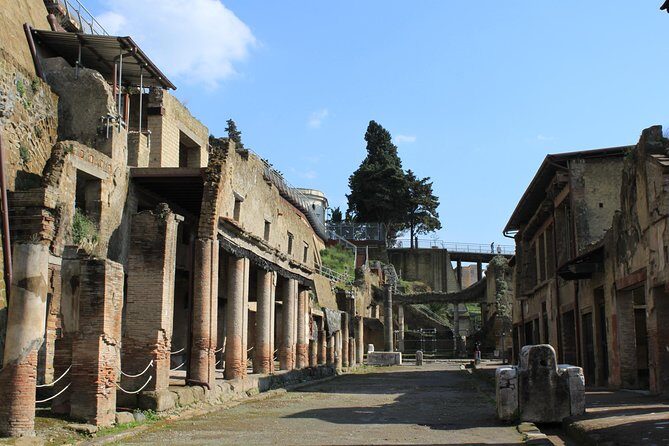 Half Day Herculaneum from Sorrento - In Closing