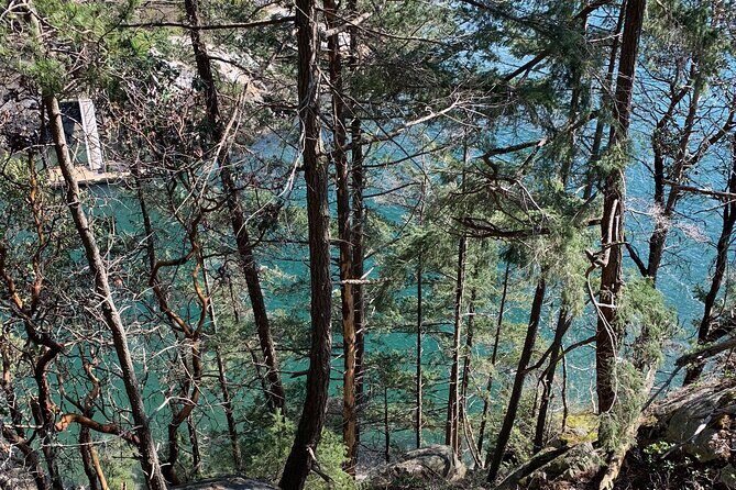 Half-day Hike and Bike Tour in Vancouver - What Makes This Tour Stand Out