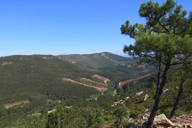 Half-day Hike & Picnic with Dog Love in Porto's Mountains - Key Points
