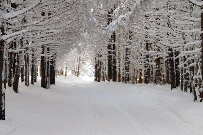 Half-Day Hiking with Private Mountain Guide in the Seven Rila Lakes - Final Thoughts