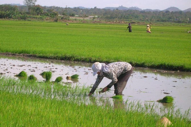 Half-Day Hoi An Countryside and Villages Tour by Bike - Whats Included and What to Keep in Mind