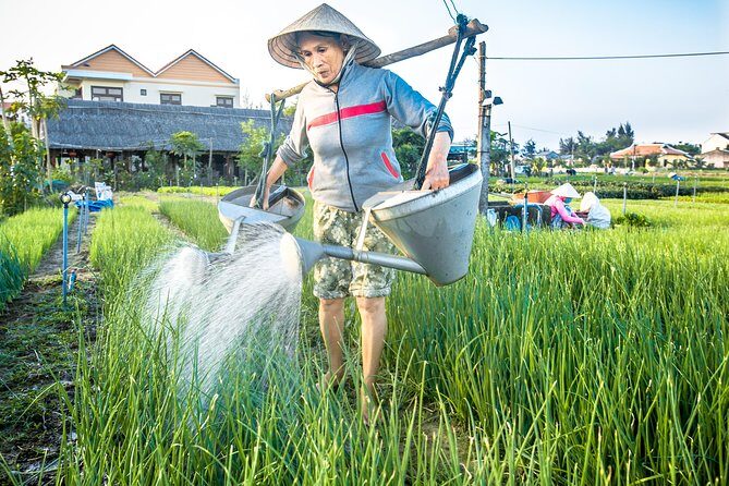 Half-day Hoi An Sunrise Or Sunset Photo Tour - Final Thoughts: Is This Tour Right for You?