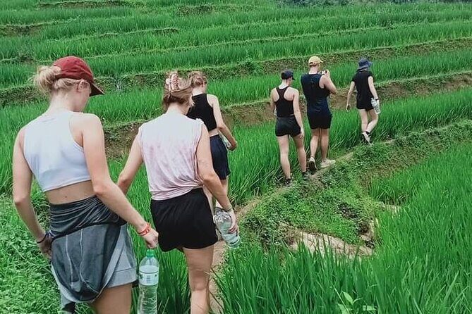 Half-Day Hometrek from Sapa with Hmong Sister House - Who Will Love This Tour?
