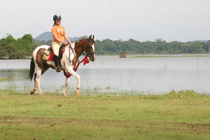 Half Day Horse Riding in Dambulla - Key Points