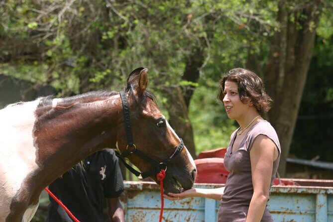 Half Day Horse Riding in Dambulla - Who Would Love This Tour?