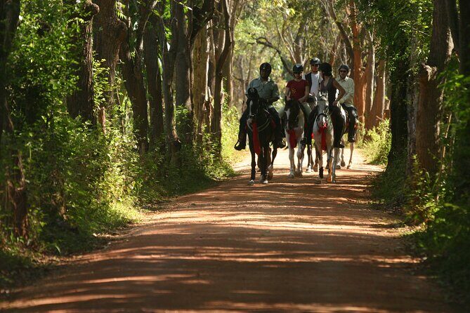 Half Day Horse Riding in Dambulla - FAQ