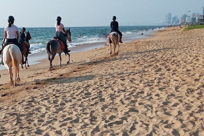 Half-Day Horse Riding in Kalpitiya - Discovering the Half-Day Horse Riding in Kalpitiya