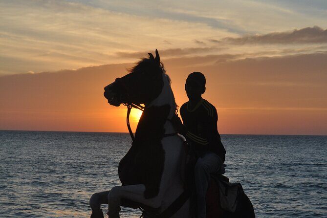 Half-Day Horse Riding in Kalpitiya - What to Expect from the Ride
