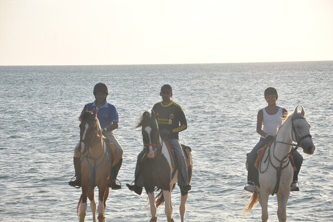 Half-Day Horse Riding in Kalpitiya - The Horses: More Than Just Animals