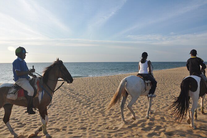 Half-Day Horse Riding in Kalpitiya - Price and Value