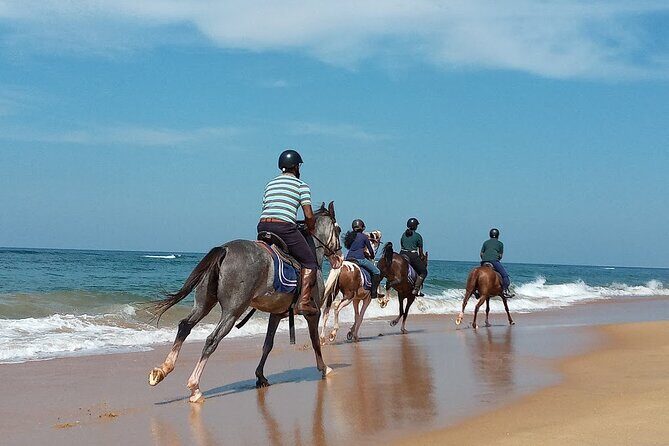 Half-Day Horse Riding in Kalpitiya - FAQs