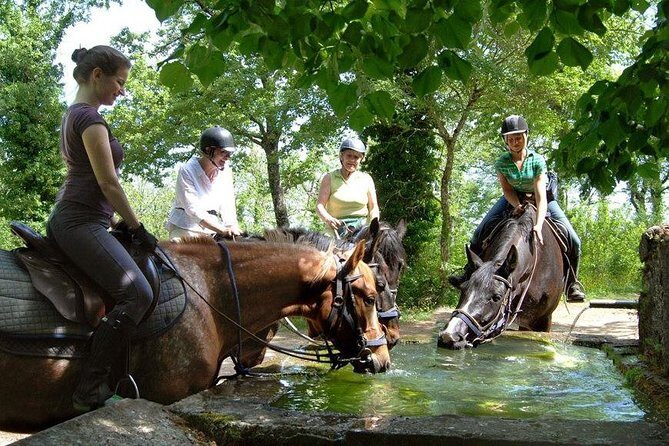 Half-Day Horseback Ride in Tuscany - Who Is This Tour Best For?