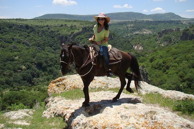 Half-Day Horseback Riding Adventure - The Sum Up