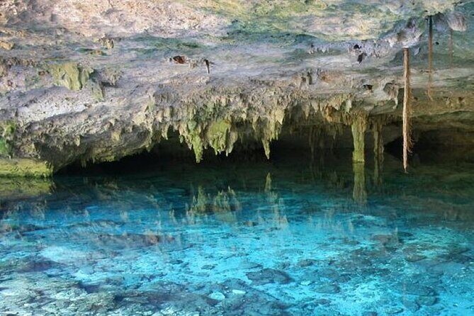 Half Day Horseback Riding Adventure with Cenotes in the Jungle - What to Expect from the Tour