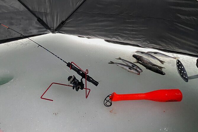 Half Day Ice Fishing Adventure in Wasilla - Authentic Insights from Reviewers