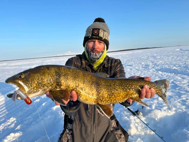 Half Day Ice Fishing - Why This Tour Is Worth Considering