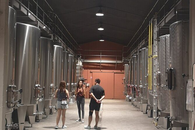 Half-day in the Médoc : 2 wineries & 6 wines - Key Points