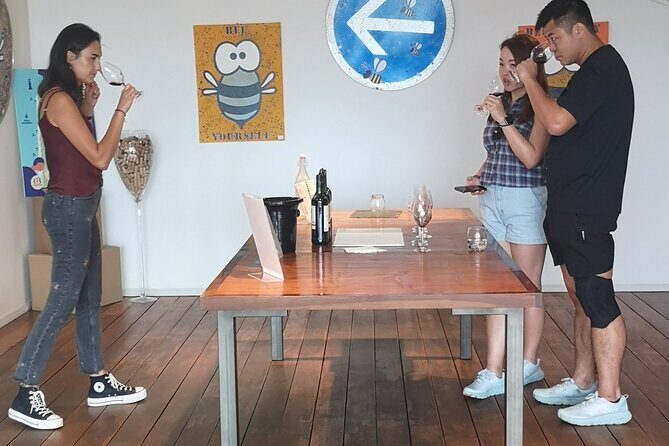 Half-day in the Médoc : 2 wineries & 6 wines - Who Should Book This Experience?