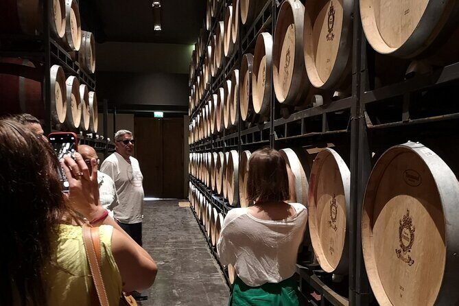 Half-day in the Médoc : 2 wineries & 6 wines - The Sum Up