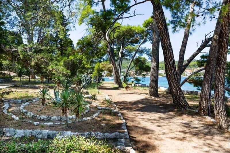 Half day island tour Oljak Galevac(kolji),Ugljan,Preko - Final Thoughts: Is This Tour for You?