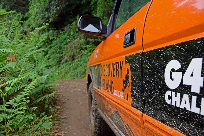 Half Day Jeep Safari Tour at Pico Areeiro and Santo da Serra - FAQs: Your Practical Questions Answered