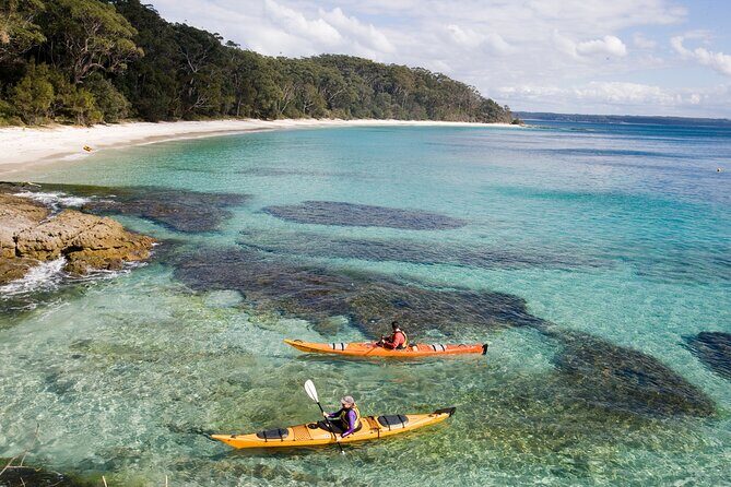 Half-Day Jervis Bay Sea Kayak Tour - Introduction