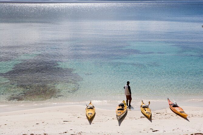 Half-Day Jervis Bay Sea Kayak Tour - Exploring the Itinerary