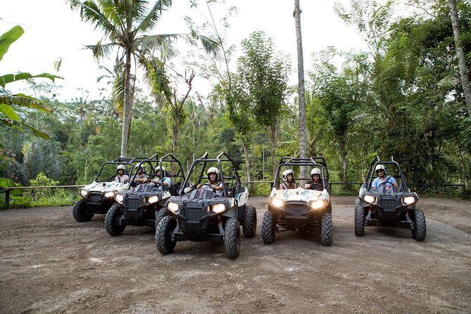 Half Day Jungle Buggies in Bali with Guide - Key Points