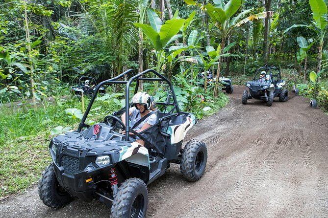 Half Day Jungle Buggies in Bali with Guide - The Experience in Detail