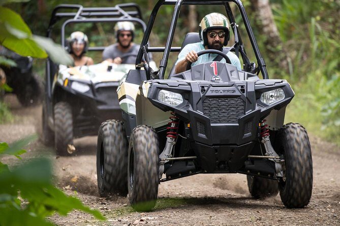 Half Day Jungle Buggies in Bali with Guide - Final Thoughts