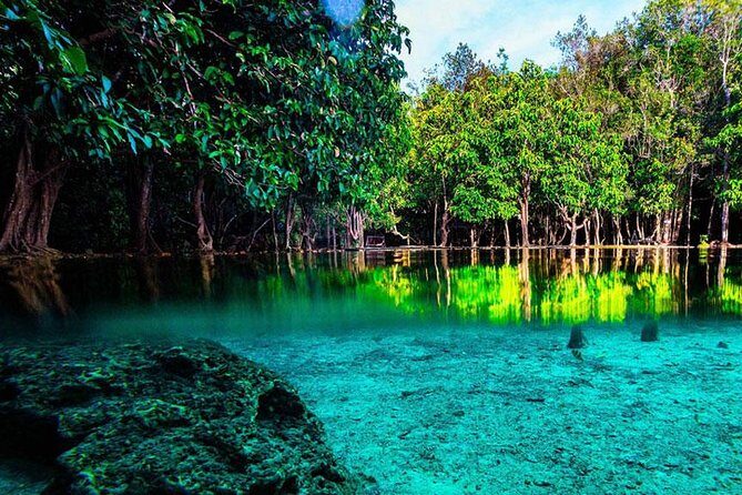 Half Day Jungle Tour to Emerald pool and Krabi Hot Spring - What’s Included and What’s Not