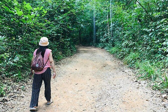 Half Day Jungle Tour to Emerald pool and Krabi Hot Spring - Final Thoughts
