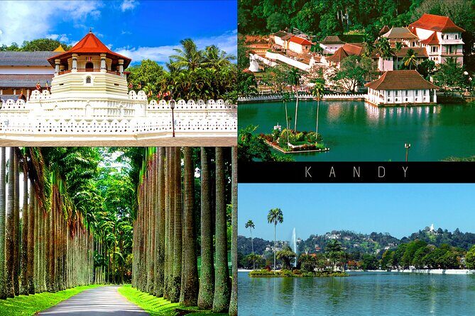 Half-Day Kandy City Tour by Tuk Tuk - Practical Details & What You’ll Get