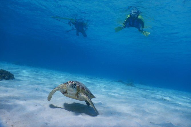 Half-day kayak tour on the Kerama Islands and Zamami Island - The Sum Up