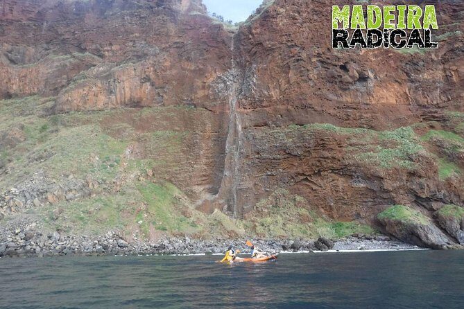 Half day kayak tours - What Makes This Tour Stand Out