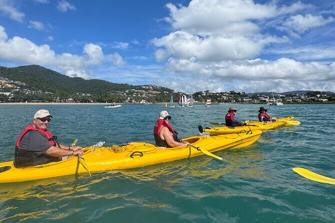 Half Day Kayak Turtle Tour - An Overview of the Tour Experience
