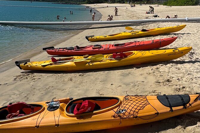 Half Day Kayak Turtle Tour - Final Thoughts: Is It Worth It?