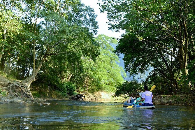 Half Day Khao Sok River Tour By Bamboo Raft From Khao Lak - Final Thoughts: Who Will Appreciate This Tour?